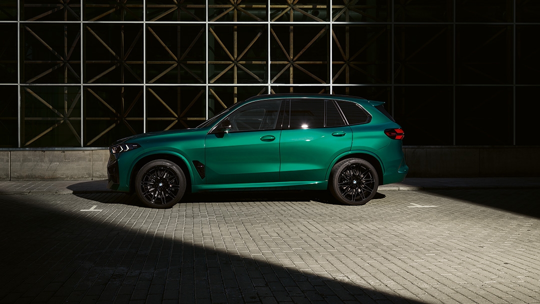 Ассистент парковки Professional